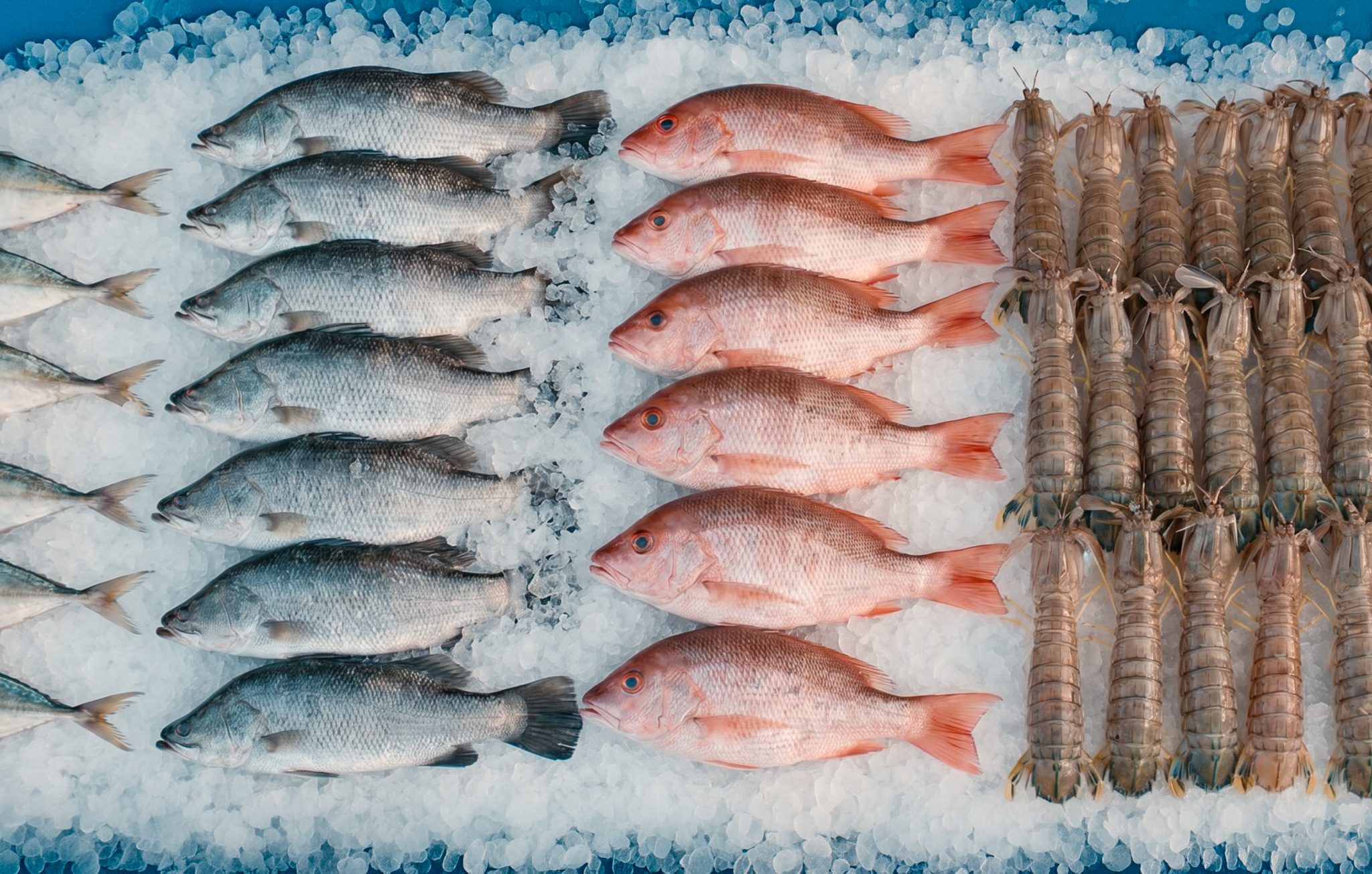 Naklua market fresh fish on ice close up detail