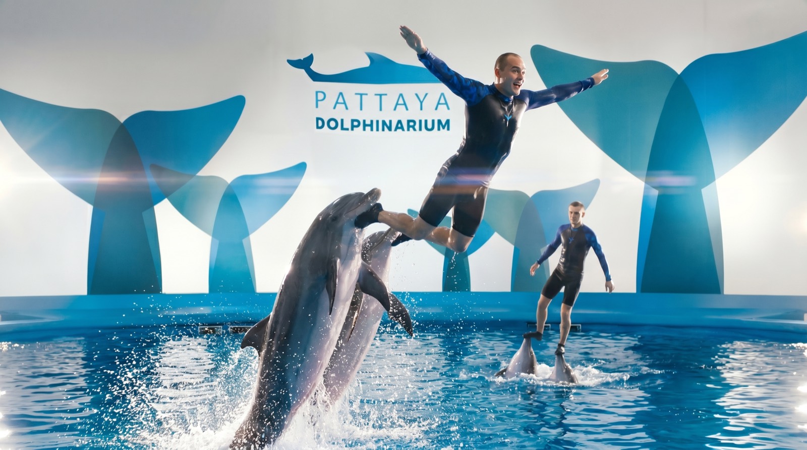 Dolphin World