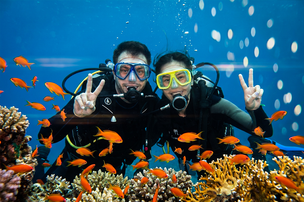 Snorkeling