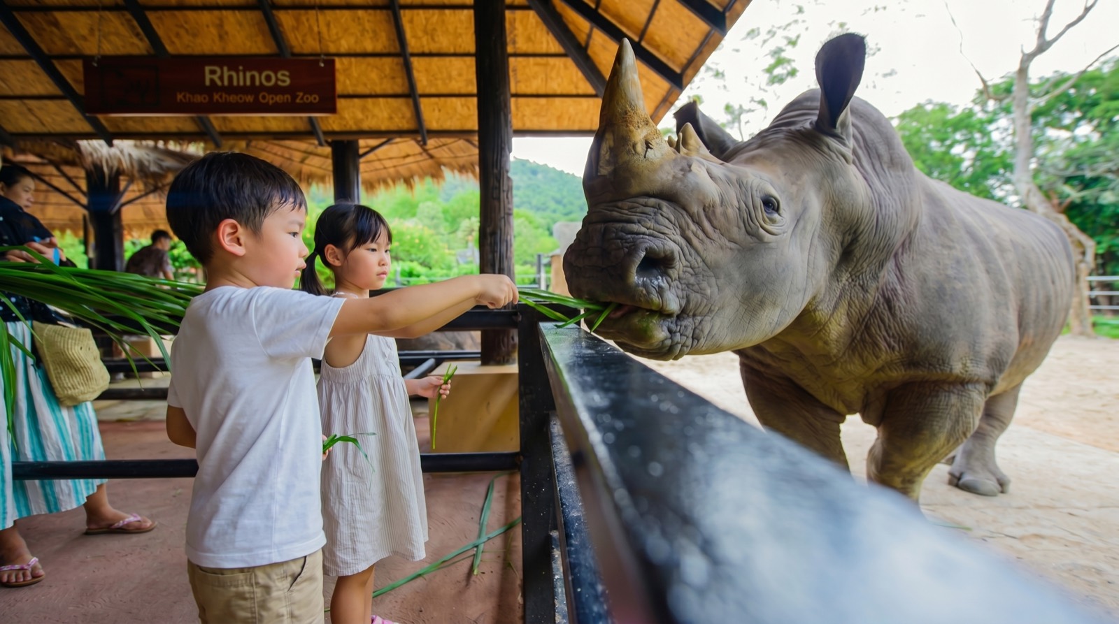 Khao Kheow Zoo