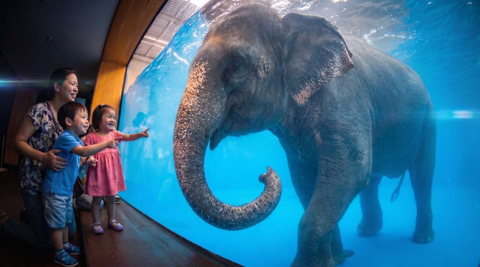 Pattaya Aquarium